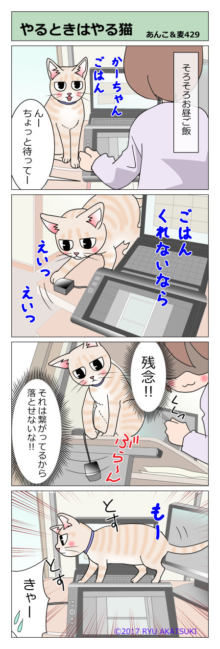 あんこ&麦STORY429