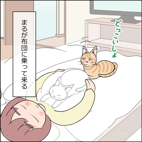 あんこ＆麦STORY2440b