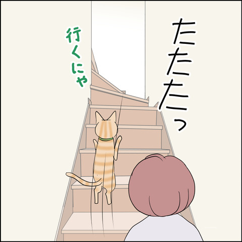 あんこ&麦STORY2333b