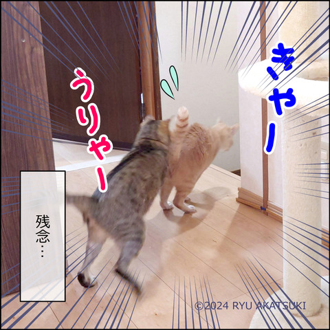 あんこ＆麦STORY2058d