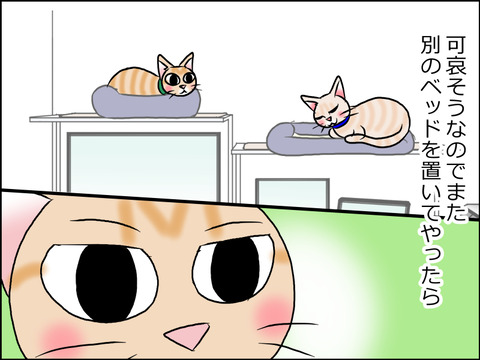 あんこ&麦STORY1565c
