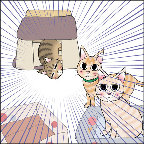 あんこ＆麦STORY2067c