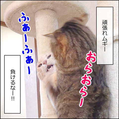 あんこ＆麦STORY2058c