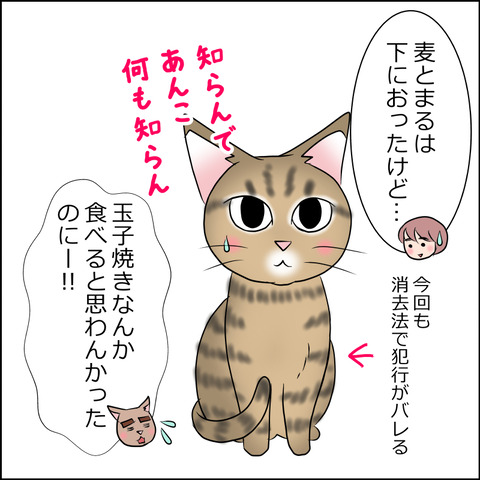 あんこ&麦STORY1892c