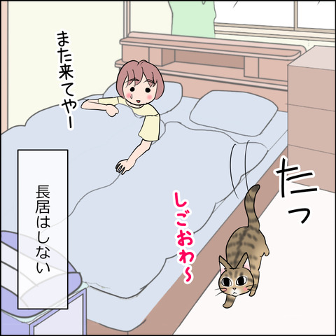 あんこ&麦STORY2483d