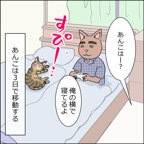 あんこ&麦STORY1910d