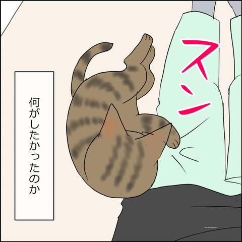 あんこ＆麦STORY2474d