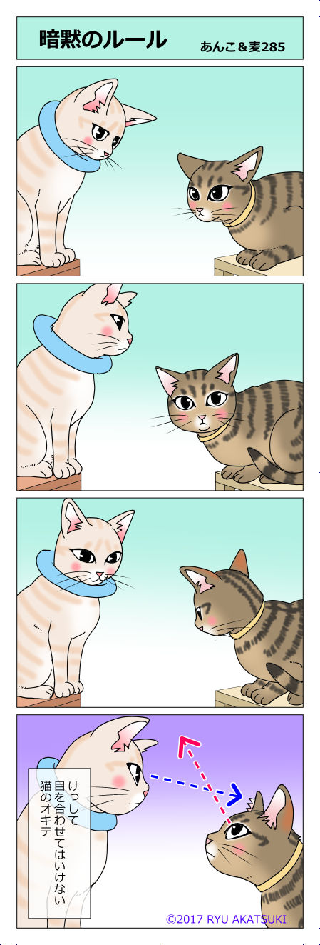 あんこ&麦STORY285