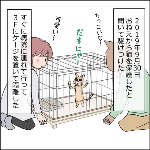 あんこ&麦STORY2496a