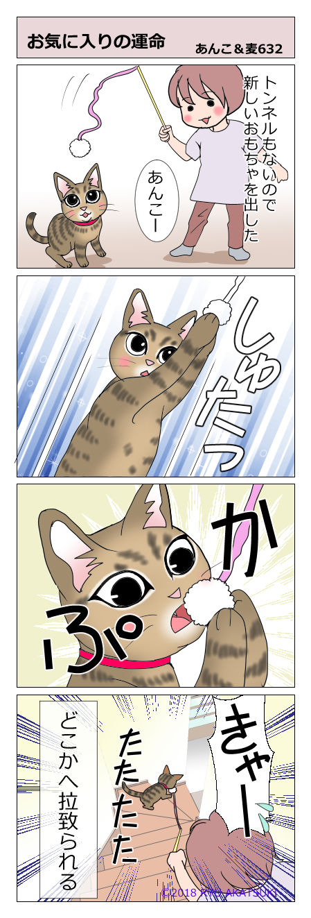 あんこ&麦STORY632