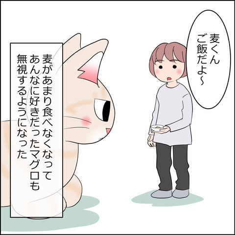 あんこ＆麦kenko110a