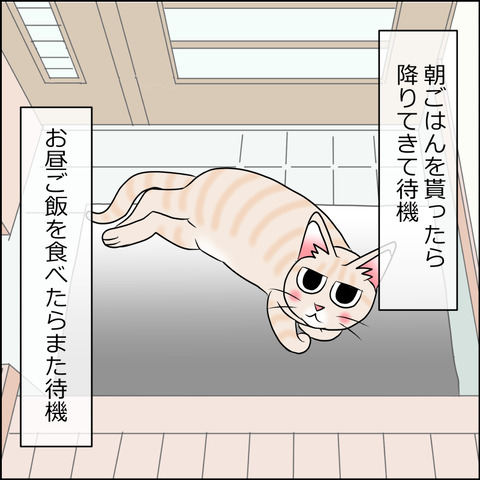 あんこ＆麦STORY1966b