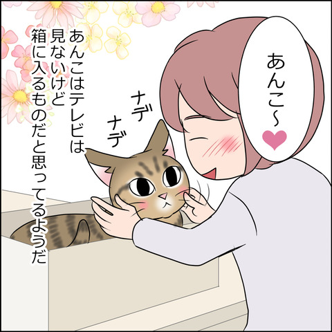 あんこ＆麦STORY1802b