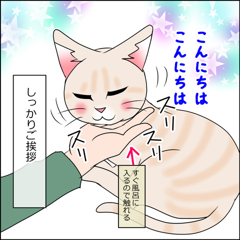 あんこ＆麦STORY2030c