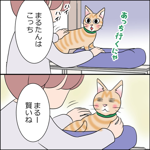 あんこ＆麦STORY1795c