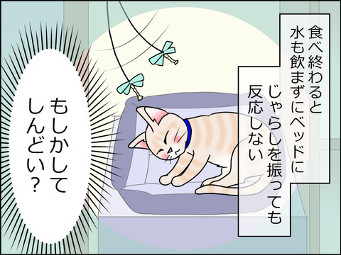 あんこ&麦kenko27d