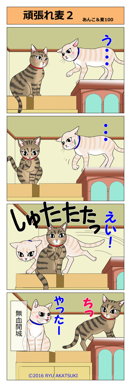 あんこ&麦STORY100