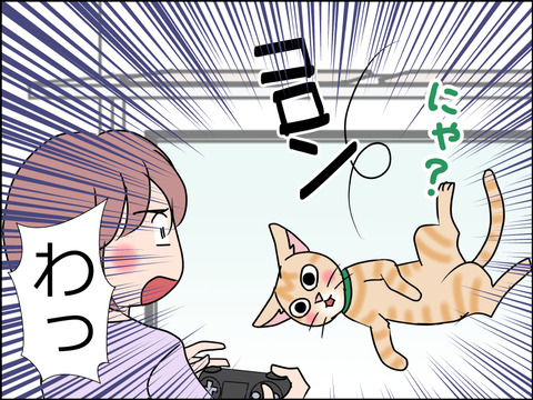 あんこ&麦STORY1461b