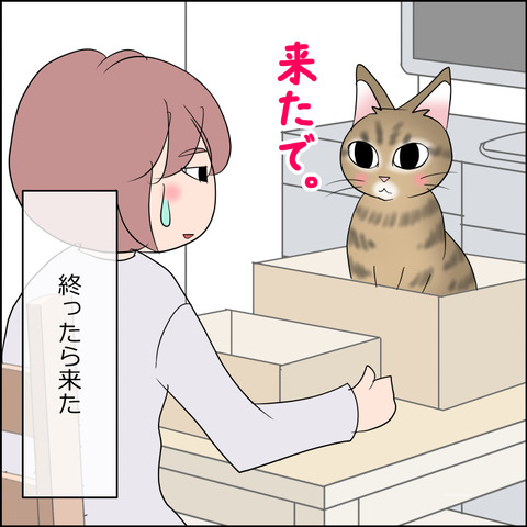 あんこ＆麦STORY2203h