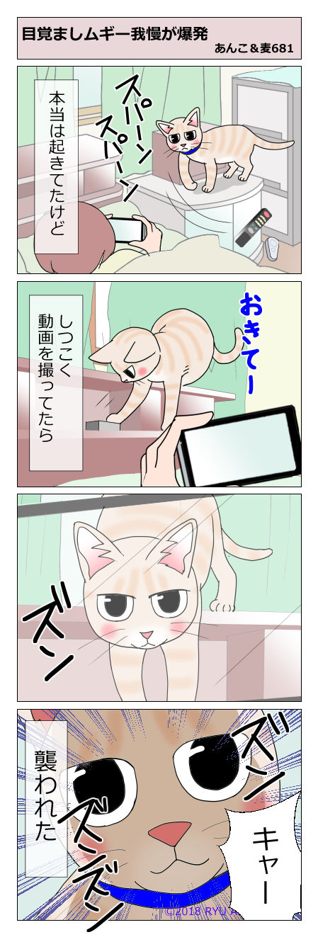 あんこ&麦STORY681