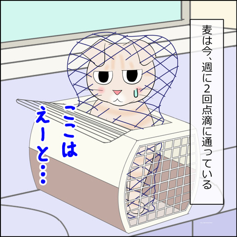 あんこ＆麦kenko130a