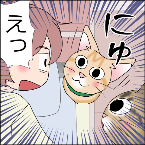 あんこ＆麦STORY1694c