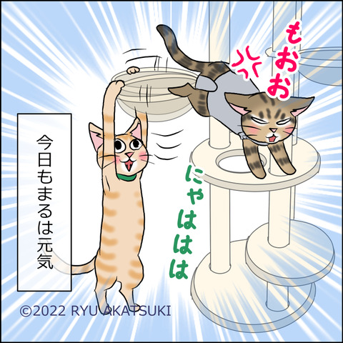 あんこ＆麦STORY1652d