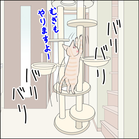 あんこ＆麦STORY2341c