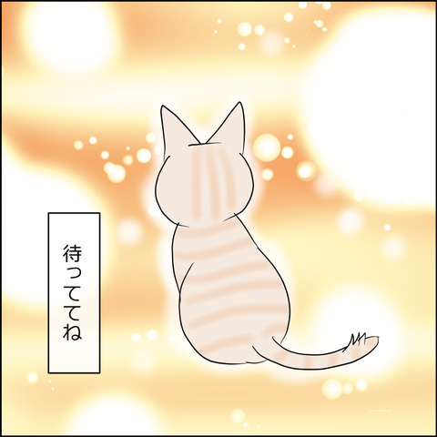 あんこ＆麦STORY2459d