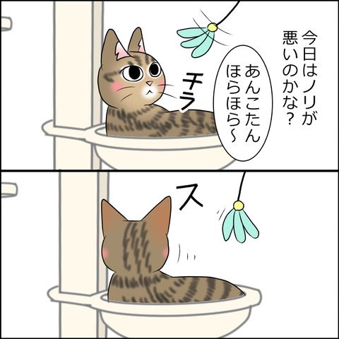 あんこ＆麦STORY1766c