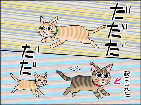 あんこ&麦STORY1457b