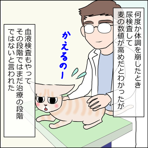 あんこ＆麦kenko63c