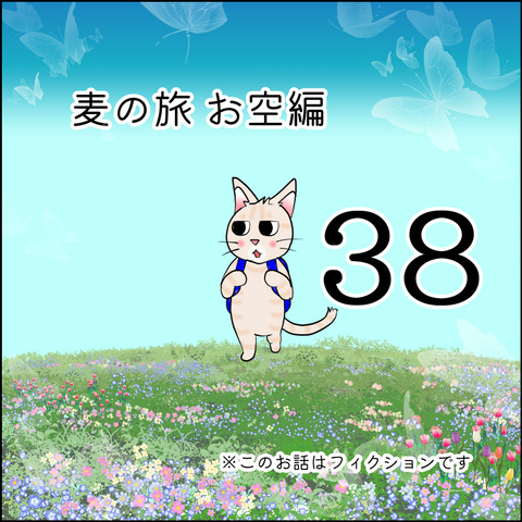 mugitabix038@