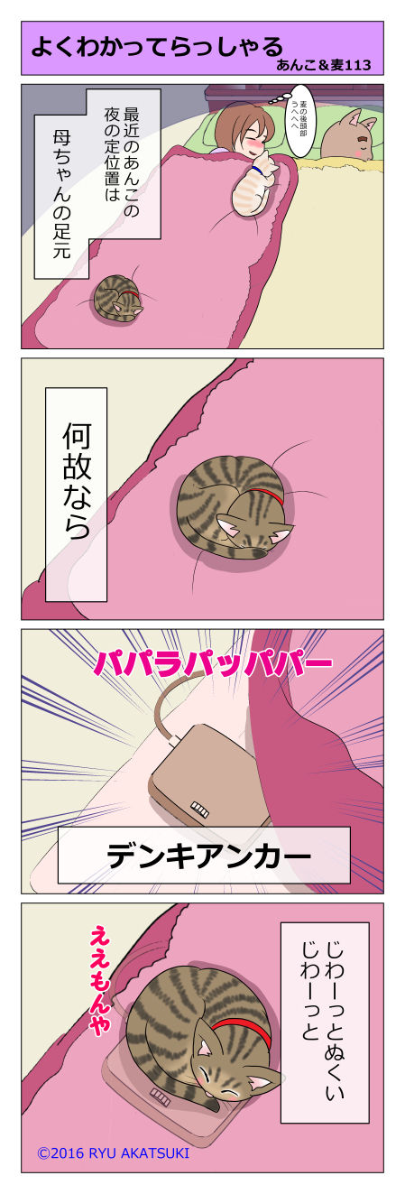 あんこ&麦STORY113