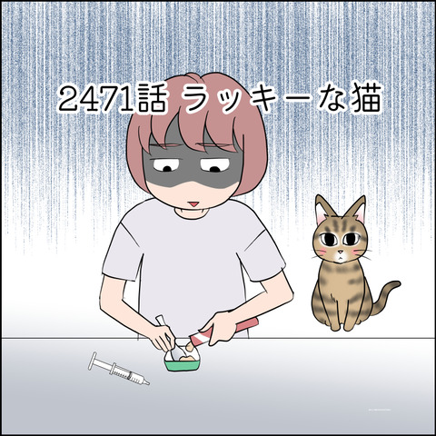 あんこ&麦STORY2471@