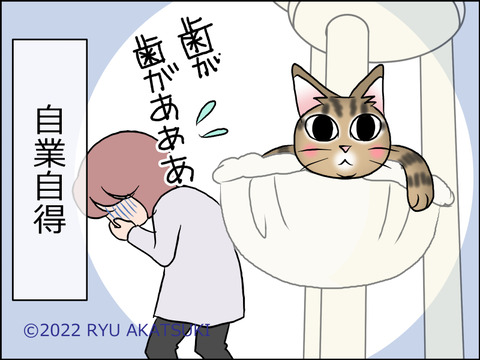 あんこ&麦STORY1624d