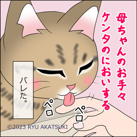 あんこ＆麦STORY1802d