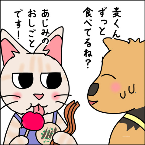 mugitabix023d