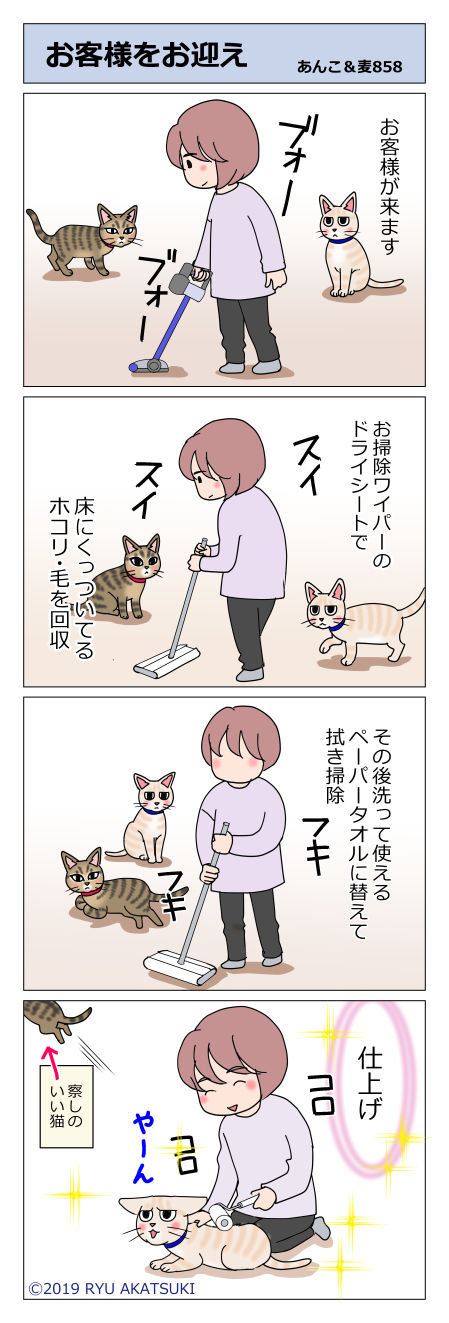 あんこ&麦STORY858