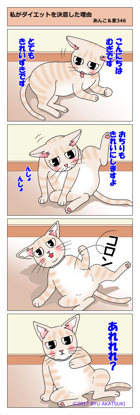 あんこ&麦STORY346