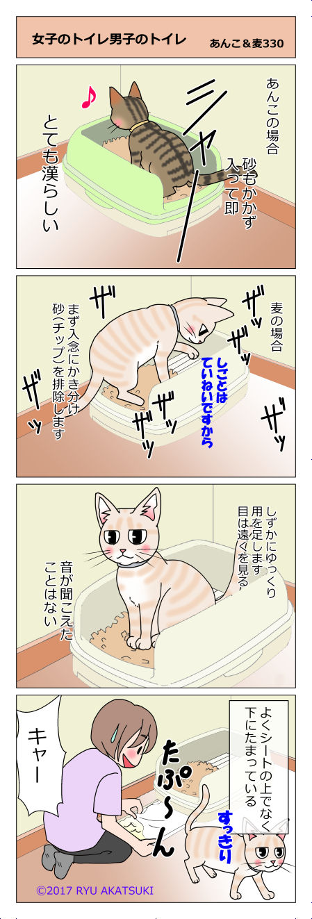 あんこ&麦STORY330