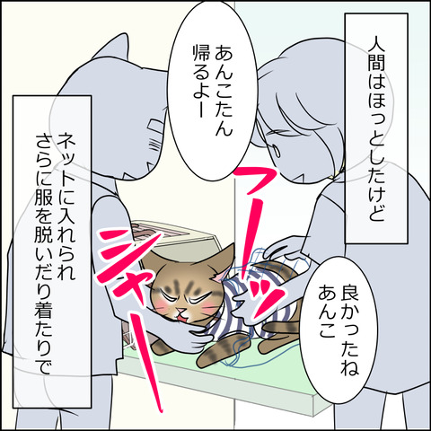 あんこ&麦kenko50c