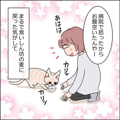 あんこ＆麦kenko150c