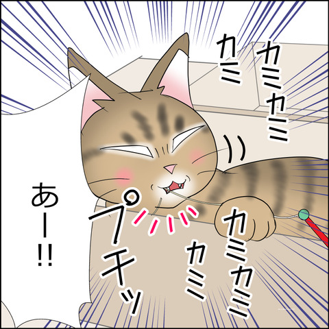 あんこ＆麦STORY2257d