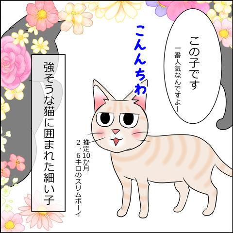 あんこ＆麦STORY1854c
