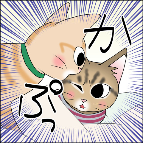 あんこ＆麦STORY1711c