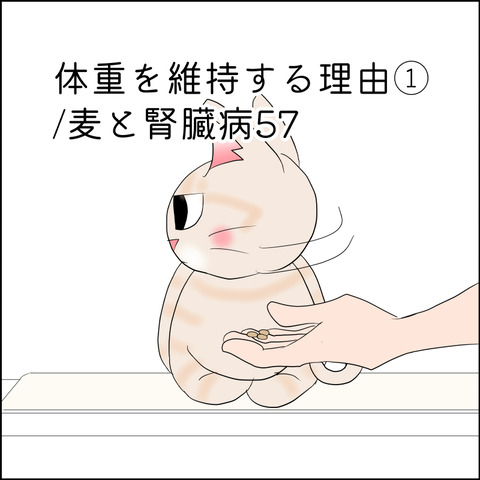 あんこ&麦kenko123@