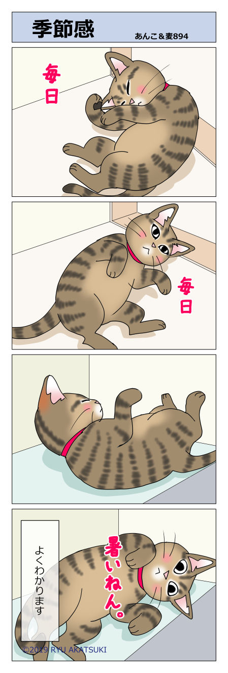 あんこ&麦STORY894