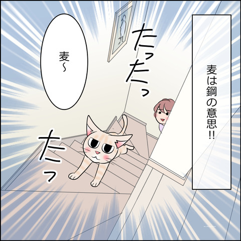 あんこ＆麦STORY2113d