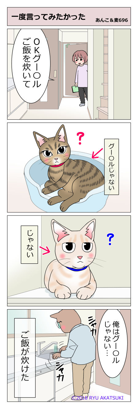 あんこ&麦STORY696